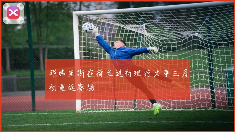 邓弗里斯在荷兰进行理疗力争三月初重返赛场