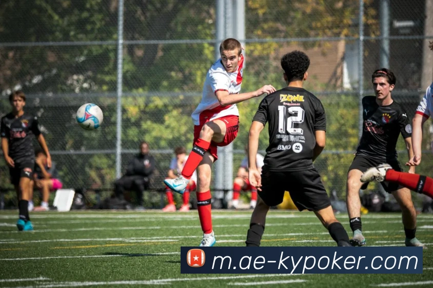 开云棋牌官网平台生态图