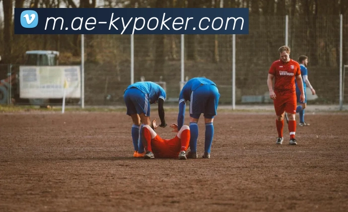 开云棋牌官网全站App